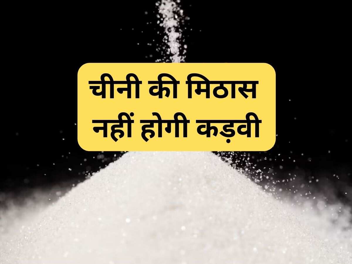 Sugar Price: त्योहारों पर बनी रहेगी होगी चीनी की मिठास, नहीं बढ़ेंगे दाम, ₹43/kg के आसपास ही रहने की उम्मीद