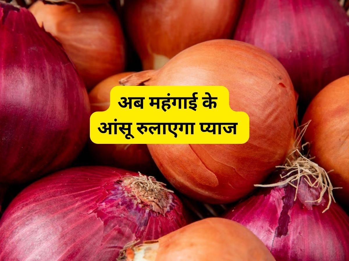 Onion Price Hike: चुनाव से पहले फूटा "महंगाई बम" चुनावी मुद्दा बना प्याज