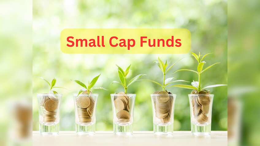Small Cap Funds: जुलाई में आया ₹4,171 करोड़; इक्विटी कैटेगरी में स्‍मॉल कैप का डंका, 4 महीने से सबसे ज्‍यादा इनफ्लो 