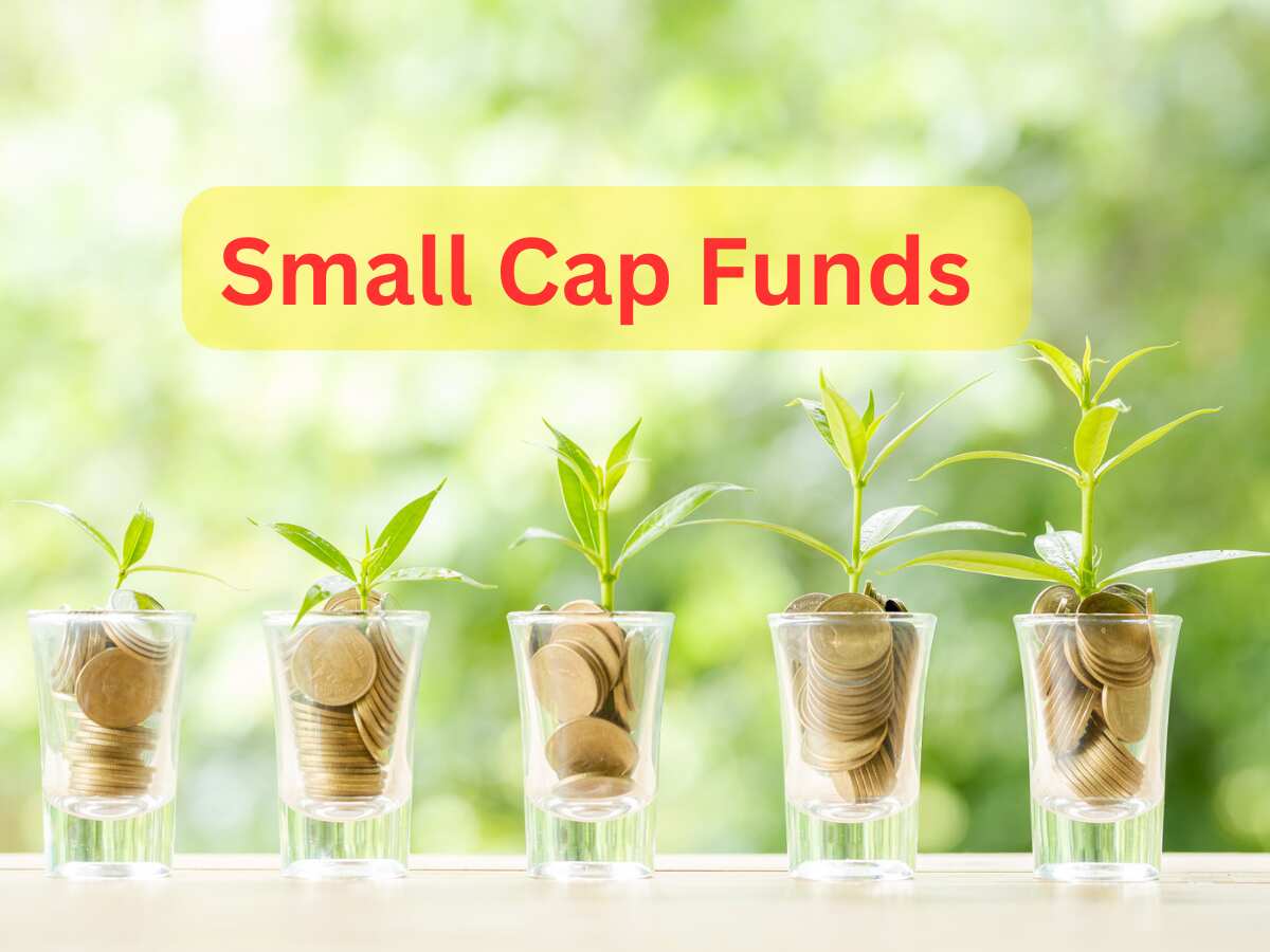 Small Cap Funds: जुलाई में आया ₹4,171 करोड़; इक्विटी कैटेगरी में स्‍मॉल कैप का डंका, 4 महीने से सबसे ज्‍यादा इनफ्लो 