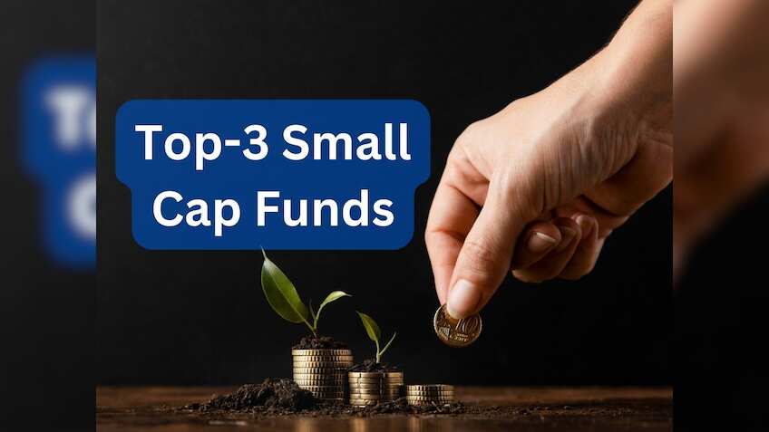 Top-3 Small Cap Funds: ₹10,000 मंथली निवेश से बने ₹47 लाख, एक्‍सपर्ट से समझें क्‍यों स्‍मॉल कैप पर बुलिश हैं निवेशक 