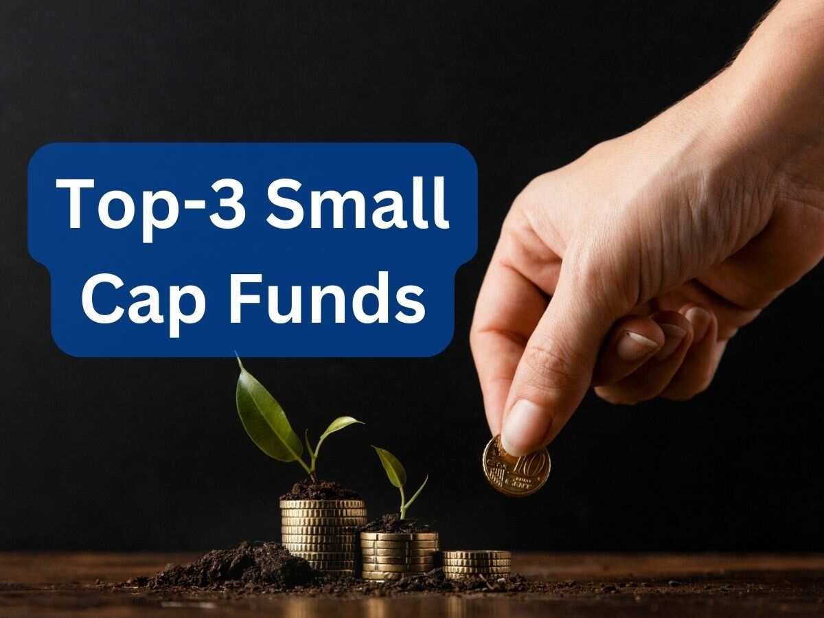 Top-3 Small Cap Funds: ₹10,000 मंथली निवेश से बने ₹47 लाख, एक्‍सपर्ट से समझें क्‍यों स्‍मॉल कैप पर बुलिश हैं निवेशक 