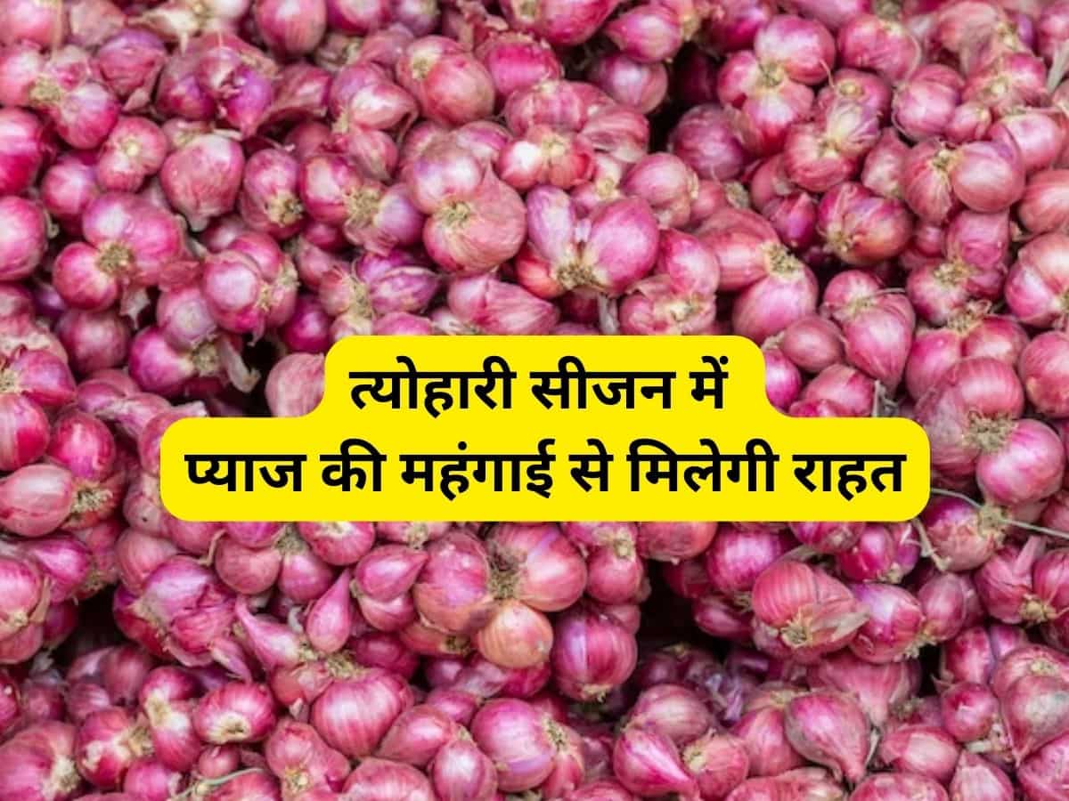 Onion Price Hike: त्योहारी सीजन में नहीं रुलाएगा प्याज, सरकार ने उठाया बड़ा कदम, कंट्रोल में रहेंगे दाम