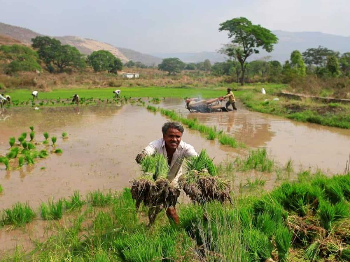 तेलंगाना ने लॉन्च किया भारत का पहला Agricultural Data Exchange, किसानों को होगा फायदा