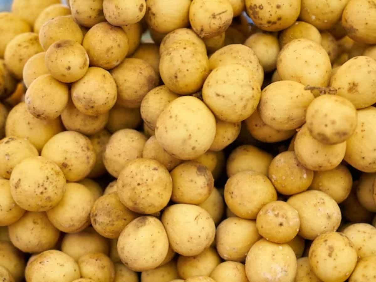 Potato Export: किसानों के लिए अच्छी खबर, गुयाना भेजा गया एमपी का आलू, नया बाजार पाने में मिलेगी मदद