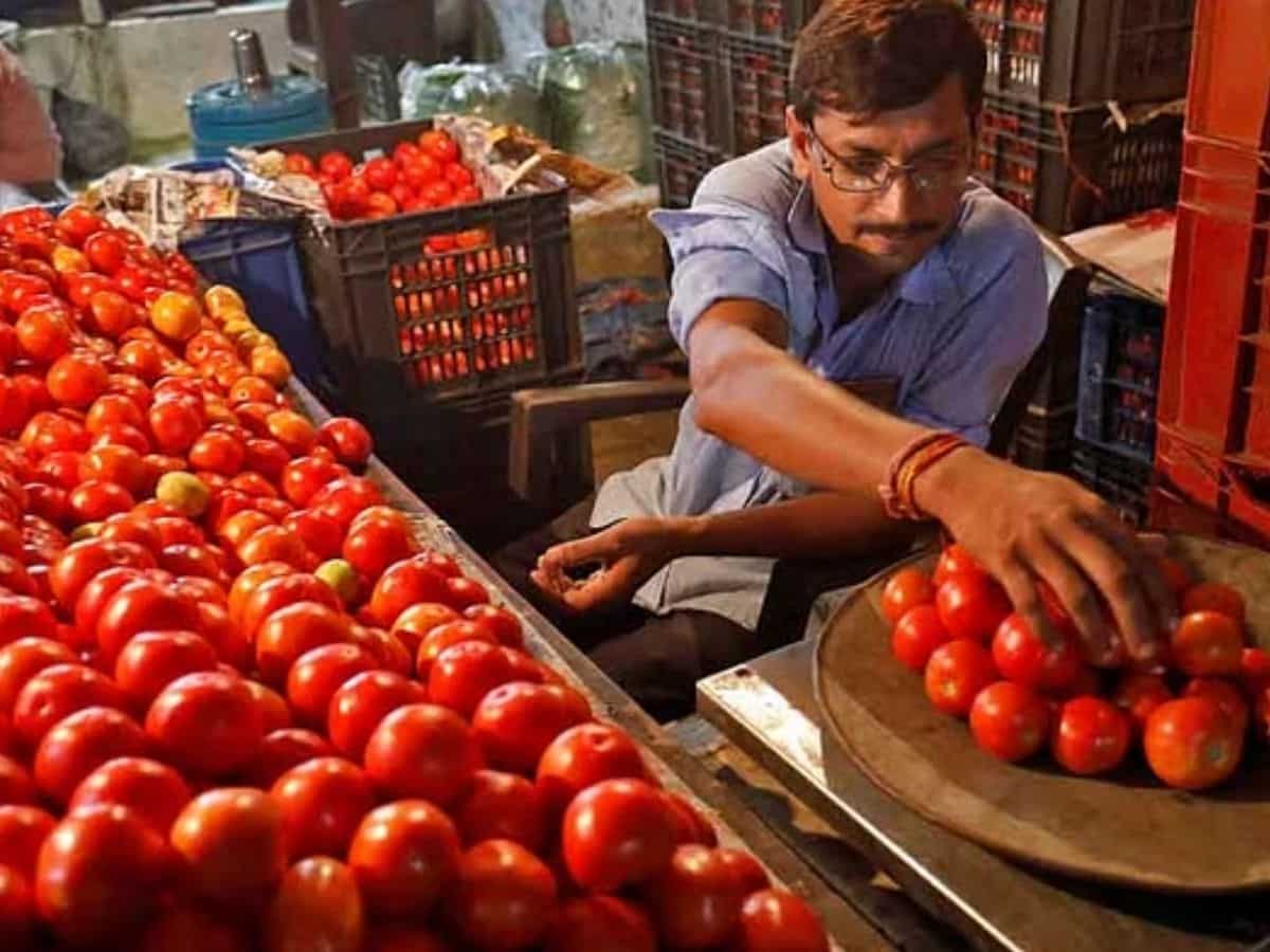 Tomato Price: आज से 40 रुपए बिकने लगा टमाटर, जानिए कहां मिलेगा इतना सस्ता भाव