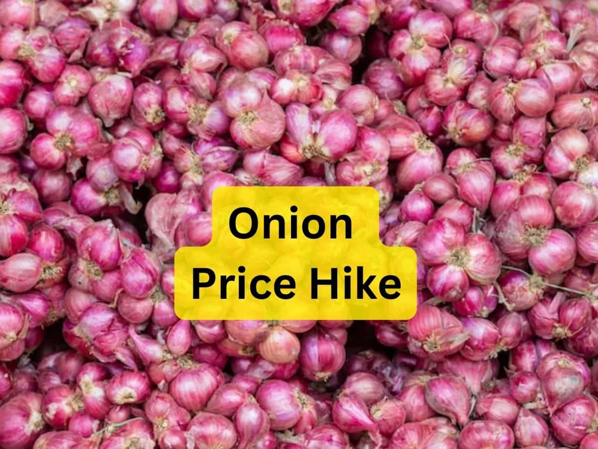 Onion Price: टमाटर के बाद अब सस्ते में प्याज बेचेगी सरकार, 25 रुपये किलो होगी बिक्री, सोमवार से शुरुआत