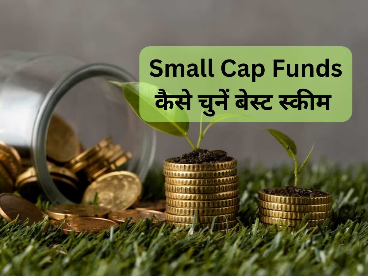 Small cap Funds: बुलिश मार्केट में कैसे चुनें अपने लिए बेस्‍ट स्‍कीम? एक्‍सपर्ट से समझें मुनाफा बनाने की स्‍ट्रैटजी