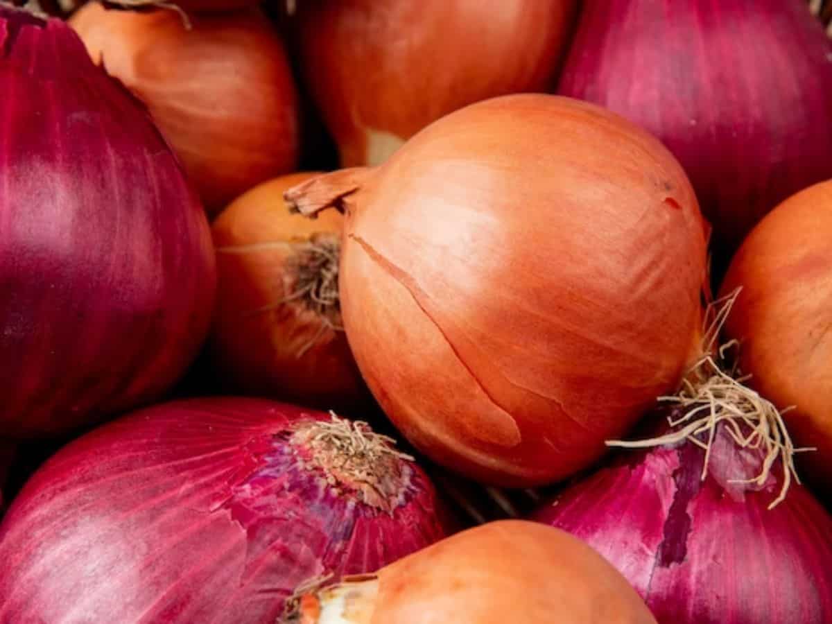 प्याज रुलाएगा महंगाई के आंसू! भारत का सबसे बड़ा थोक Onion Market लासलगांव बंद, सरकार के इस फैसले का विरोध