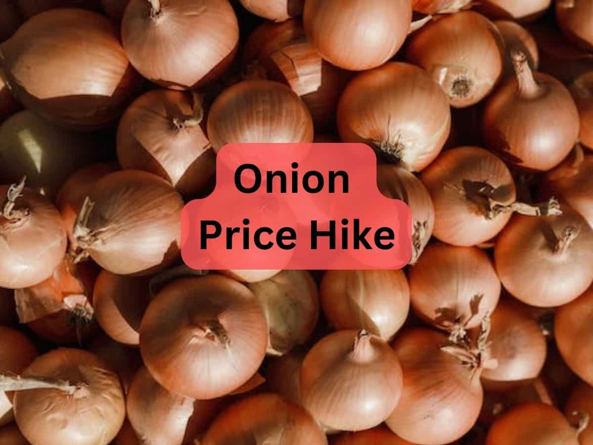 Onion Export पर लगाए गए 40% ड्यूटी के खिलाफ विरोध प्रदर्शन पर सरकारी की सफाई, कहा- इस वजह से उठाया ये कदम