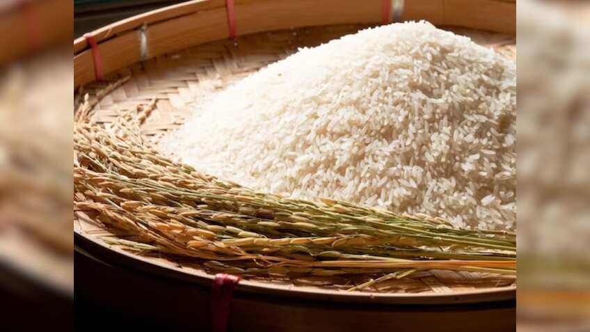 Rice Export Ban: उसना गैर-बासमती चावल के Export पर भी लगेगा प्रतिबंध? सरकार ने दिया ये जवाब