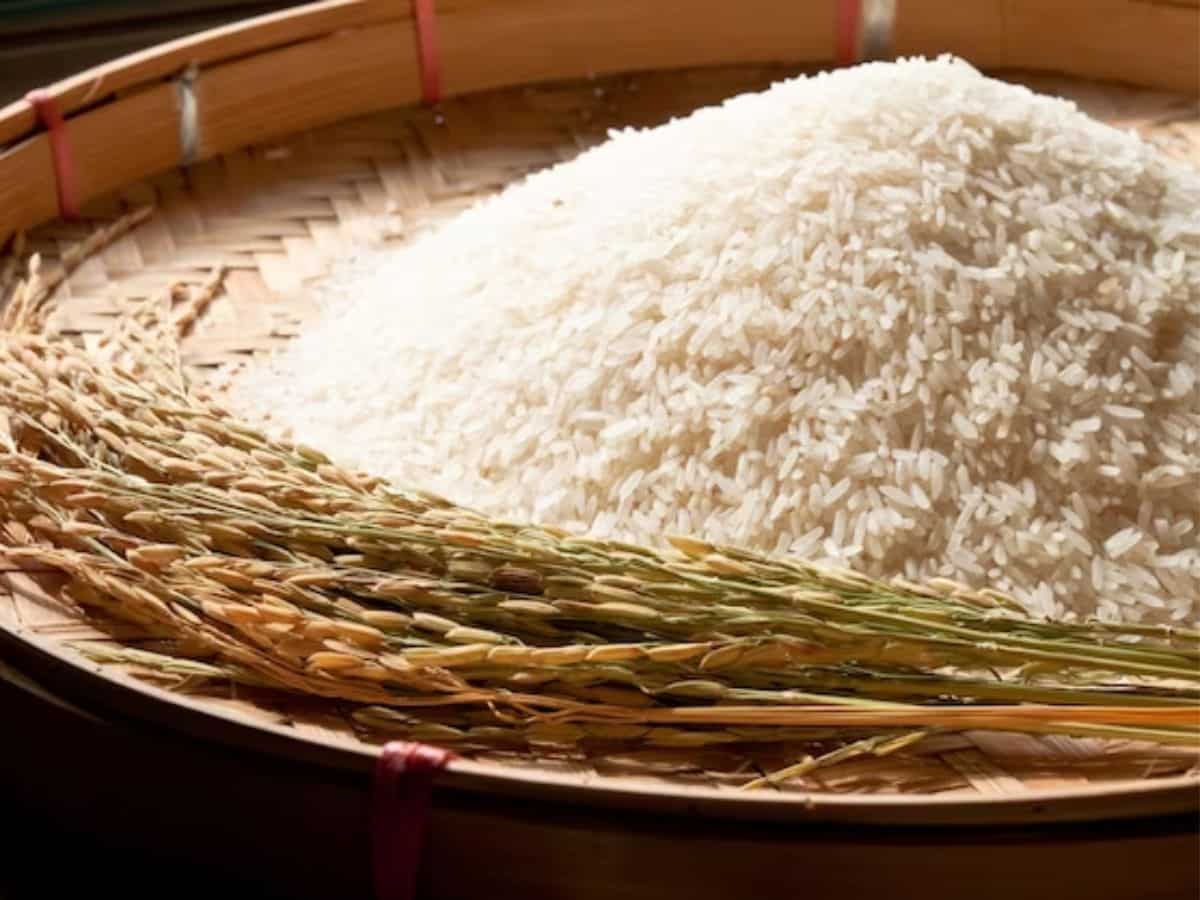 Rice Export Ban: उसना गैर-बासमती चावल के Export पर भी लगेगा प्रतिबंध? सरकार ने दिया ये जवाब