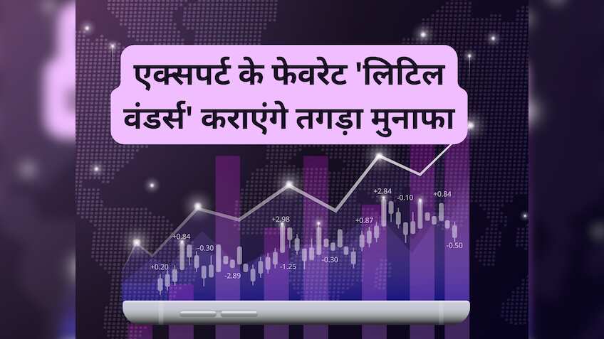 मुनाफे का धमाका करेंगे ये 4 'लिटिल वंडर्स', एक्‍सपर्ट ने दिया 1 साल का टारगेट 