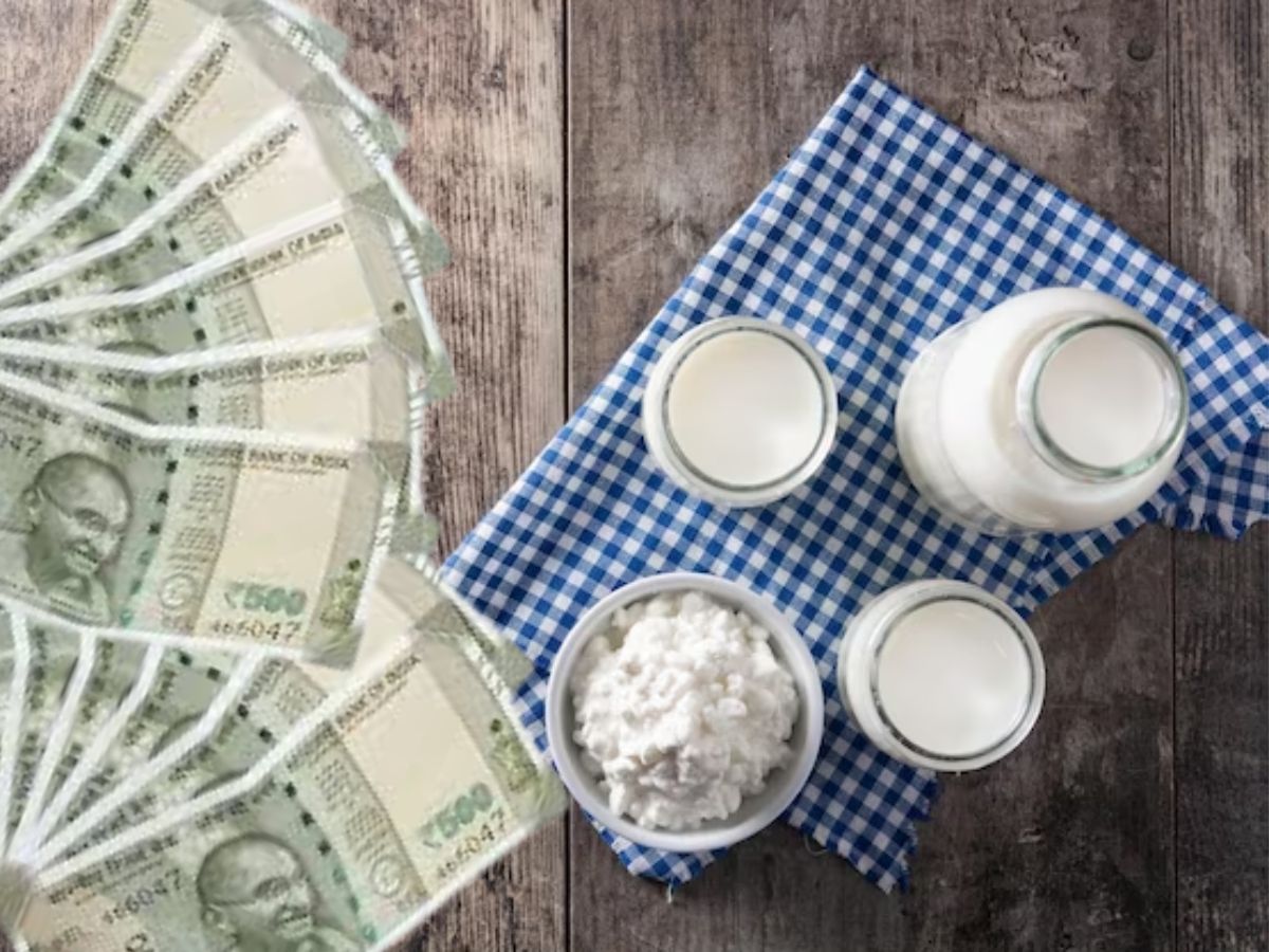 Sarkari Yojana: दूध, दही और लस्सी बेचकर कमा लिया ₹10 करोड़, इस स्कीम का उठाया फायदा, जानिए सबकुछ