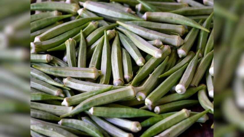 Success Story: भिंडी की खेती से 12वीं पास किसान बना लखपति, एक एकड़ में ₹3 लाख का मुनाफा