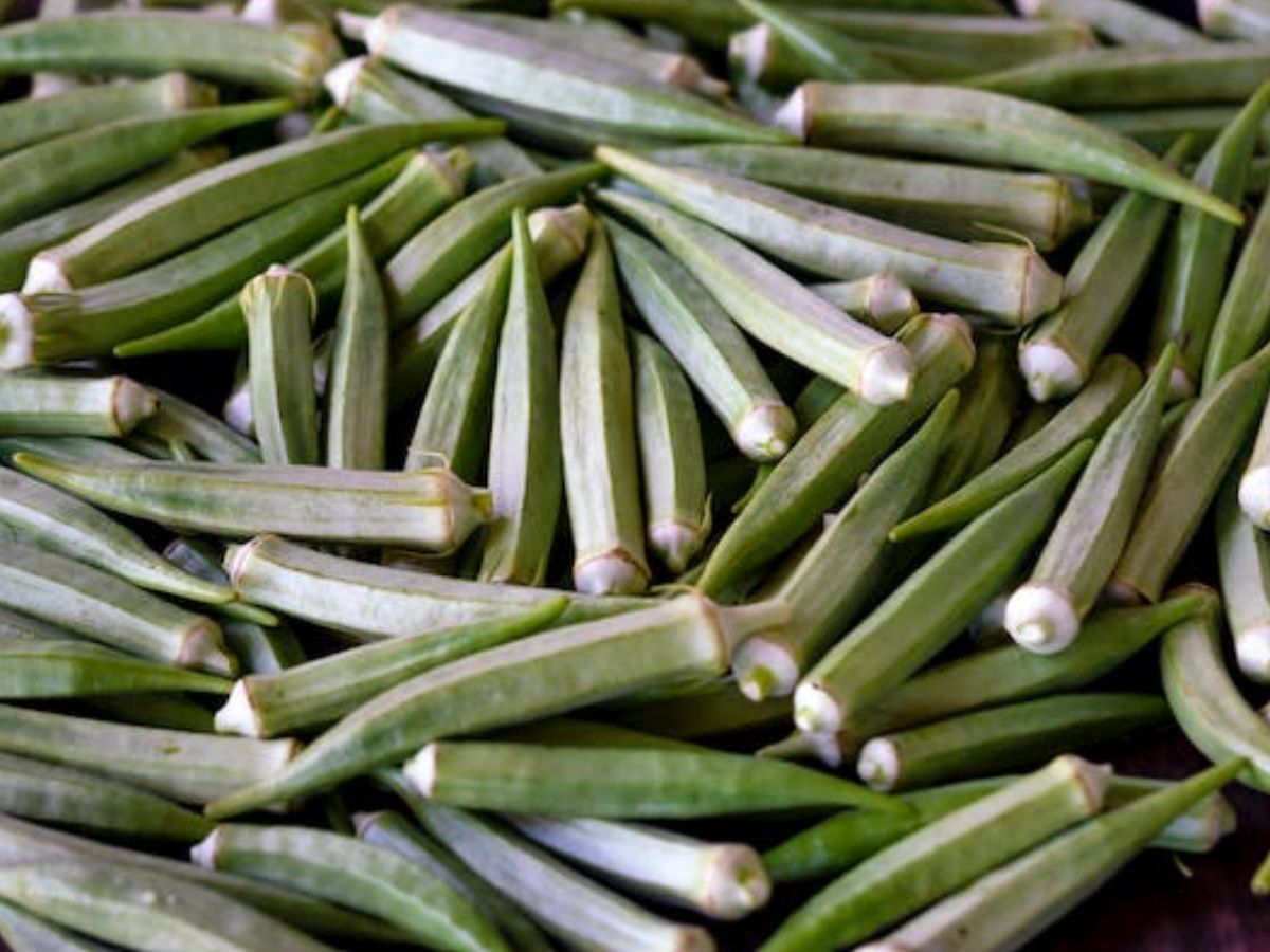 Success Story: भिंडी की खेती से 12वीं पास किसान बना लखपति, एक एकड़ में ₹3 लाख का मुनाफा