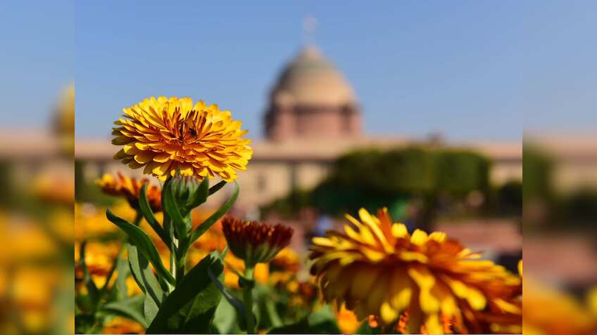 G-20 समिट के चलते 1 से 10 सितंबर तक आम लोगों के लिए बंद रहेगा राष्‍ट्रपति भवन