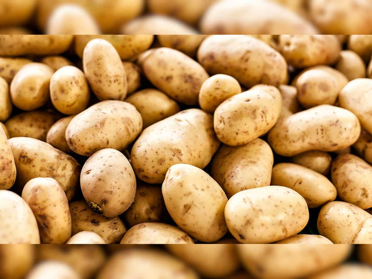  Potato Demand : विदेश में बढ़ी ‘सब्जियों के राजा’ की मांग, किसानों को पहुंचेगा बड़ा फायदा 