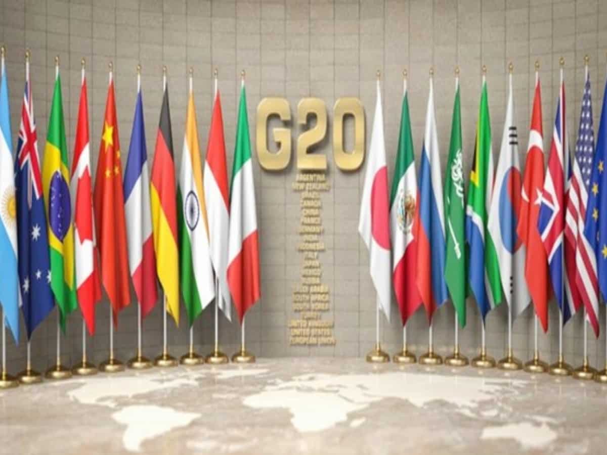 G20: कौन हैं भारत के शेरपा, किन्‍हें दिया जाता है ये जिम्‍मा और क्‍या होता है इनका काम