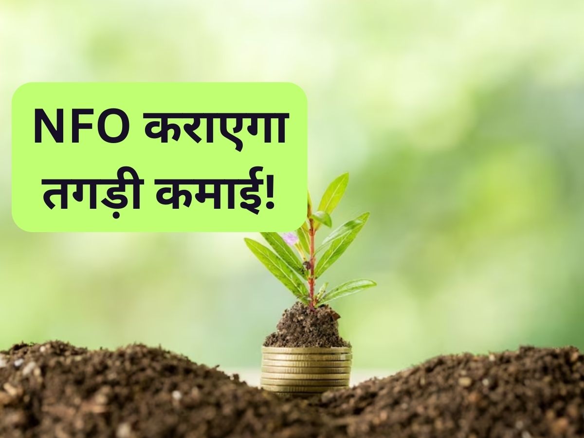 MF NFO: आज से खुल गया नया लार्ज कैप फंड, ₹250 से शुरू कर सकते हैं निवेश; समझ लें डीटेल
