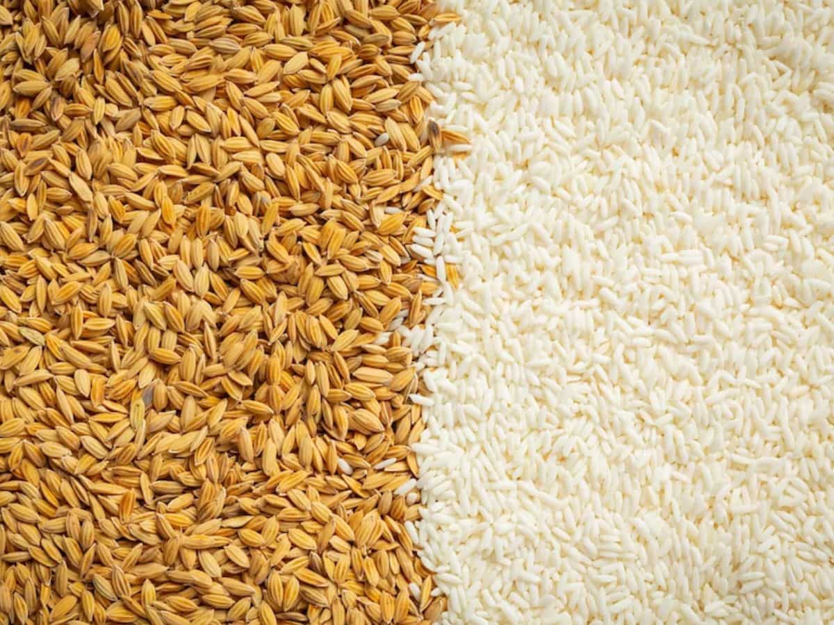 अब तक OMSS के जरिए 4.89 LMT चावल और 2LMT गेहूं जारी, जमाखोरी पर सरकार का चला चाबुक