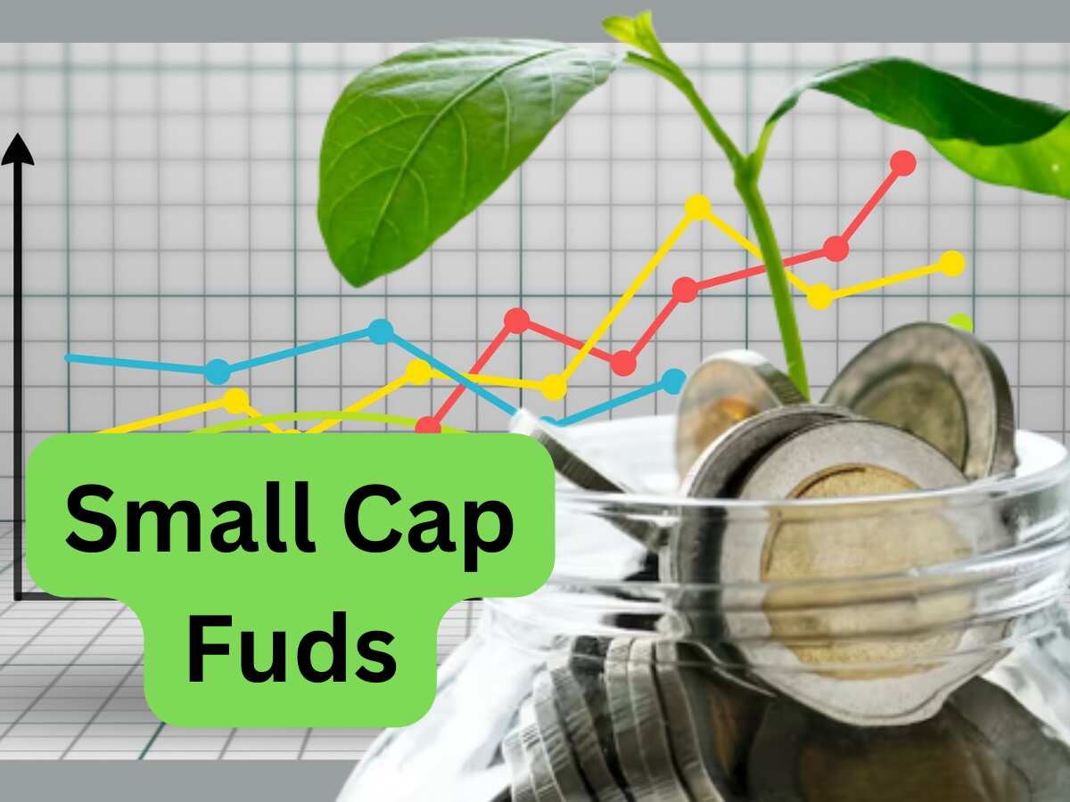 Small Cap Funds में 5 महीने से जारी है रैली, रिटेल निवेशकों का दिख रहा दम; क्‍या कहते हैं एक्‍सपर्ट 