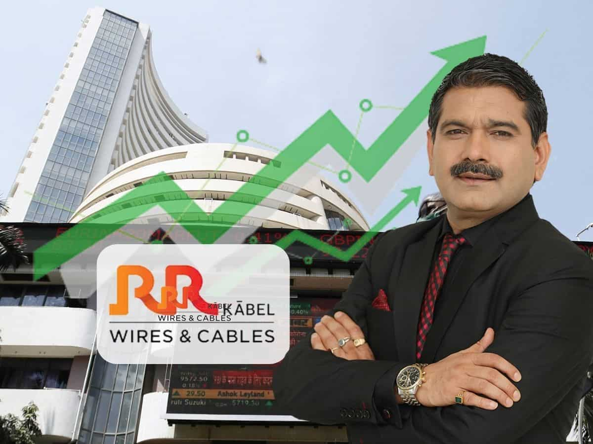 RR Kabel IPO को पहले दिन सुस्त रिस्पांस, मार्केट गुरु Anil Singhvi बोले- लॉन्ग टर्म के लिए अप्लाई करें