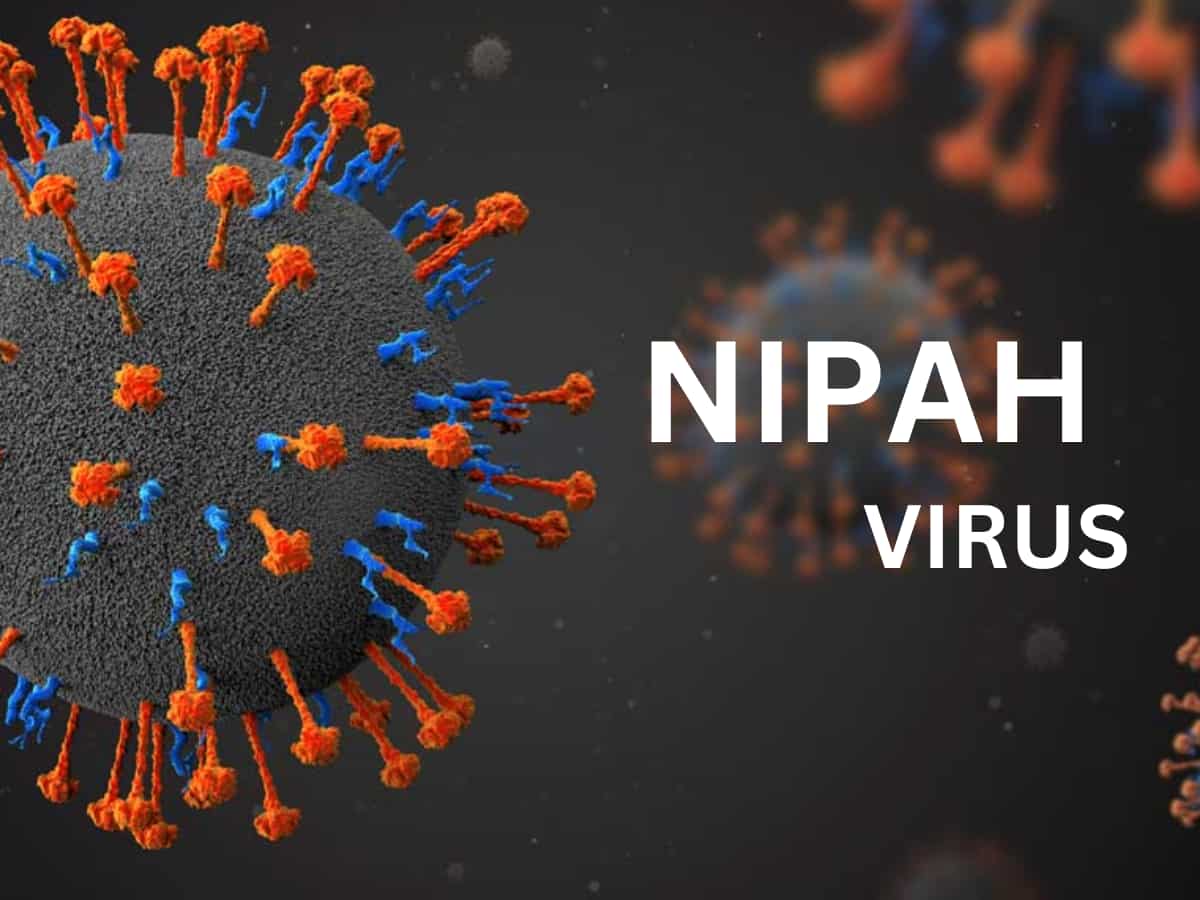 Nipah Virus: काबू में 'निपाह', 3 दिन में नहीं आया कोई नया मामला, केरल सरकार ने दिया लेटेस्ट अपडेट