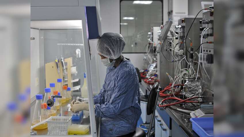 बाजार बंद होने के बाद Biocon ने दिया बड़ा अपडेट, बुधवार को शेयर पर होगा असर, 6 महीने में दिया 35% रिटर्न