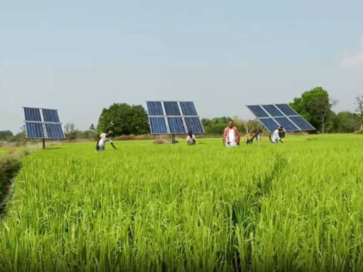 सरकार ने किसानों को किया अलर्ट, PM Kusum योजना के नाम पर कहीं आप भी तो नहीं हो रहे हैं शिकार