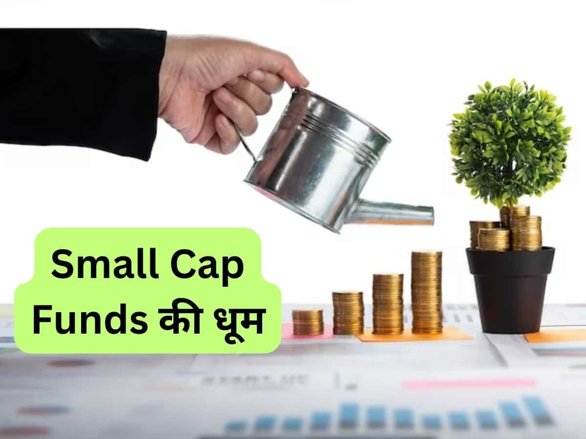 Small Cap Funds की धूम! Folios की संख्या के आधार पर लार्ज और फ्लेक्सी कैप फंड्स को पीछे छोड़ा