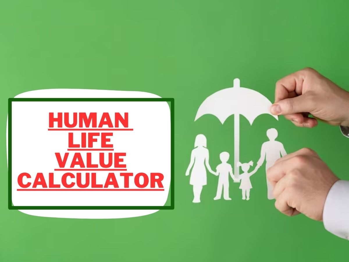 टर्म इंश्योरेंस लेते वक्त कन्फ्यूजन है- कितना लें, कैसे लें? ये 'लाइफ' कैलकुलेटर देगा सॉल्यूशन, ऐसे करें कैलकुलेशन