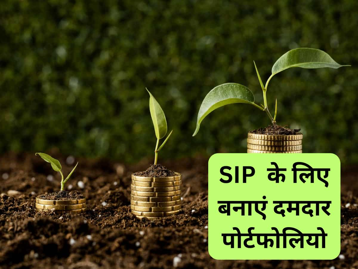 SIP निवेशक ऐसे बनाएं MF पोर्टफोलियो, 5 साल में मिल सकता है दमदार रिटर्न 