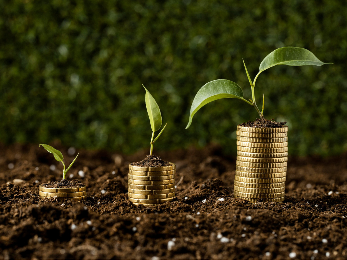 SIP में आगे क्या करें? Mutual Funds में बन रहा नया मौका, एक्सपर्ट से समझिये निवेश की स्ट्रैटजी