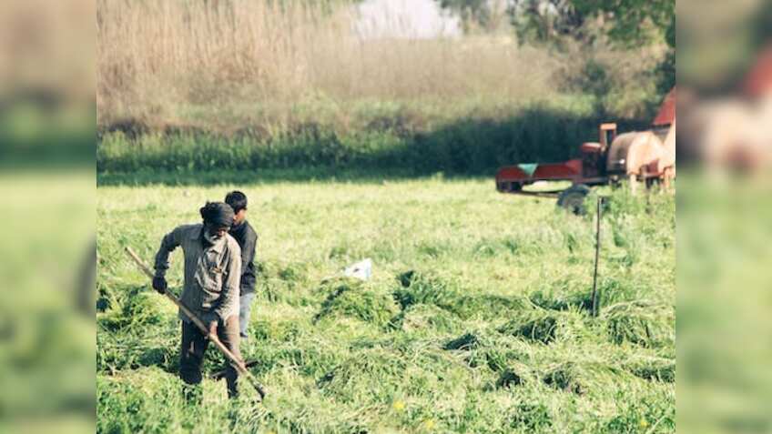 इस राज्य के किसानों के लिए बड़ी खबर, 10 दिनों में पूरा होगा गिरदावरी, जल्द मिलेगा मुआवजा