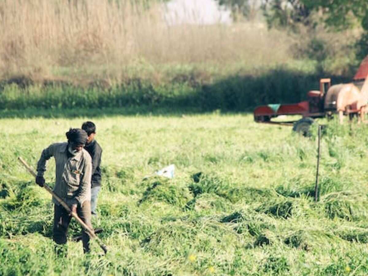 इस राज्य के किसानों के लिए बड़ी खबर, 10 दिनों में पूरा होगा गिरदावरी, जल्द मिलेगा मुआवजा