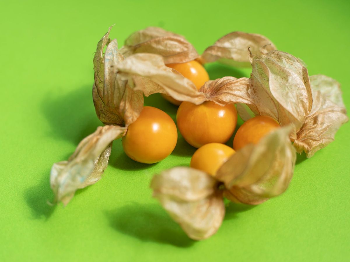 Agri Business Idea: कम लागत में शुरू करें इस फल की खेती, बाजार में है भारी डिमांड, होगी बंपर कमाई