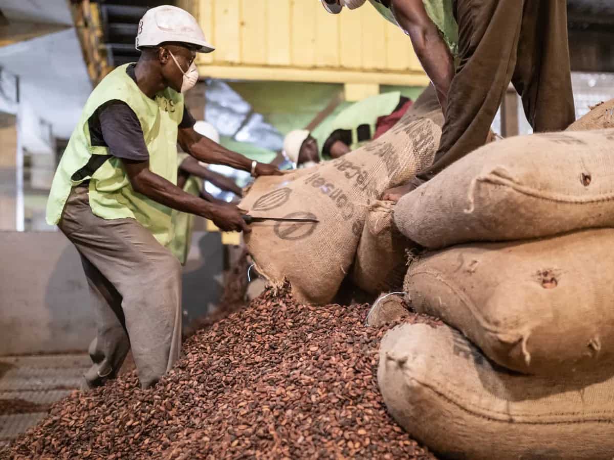 भारत के लिए फायदे का सौदा, दुनिया का बड़ा कोको उत्पादक देश भारत को सीधे कोको उत्पाद बेचने की तैयारी में 