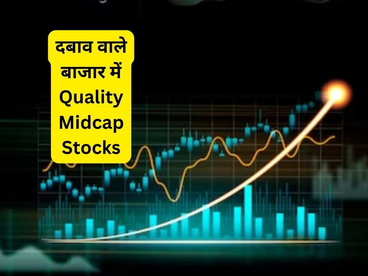 गिरावट वाले बाजार में एक्सपर्ट ने चुने 3 क्वॉलिटी  Midcap Stocks, जानें कमाई वाला टारगेट