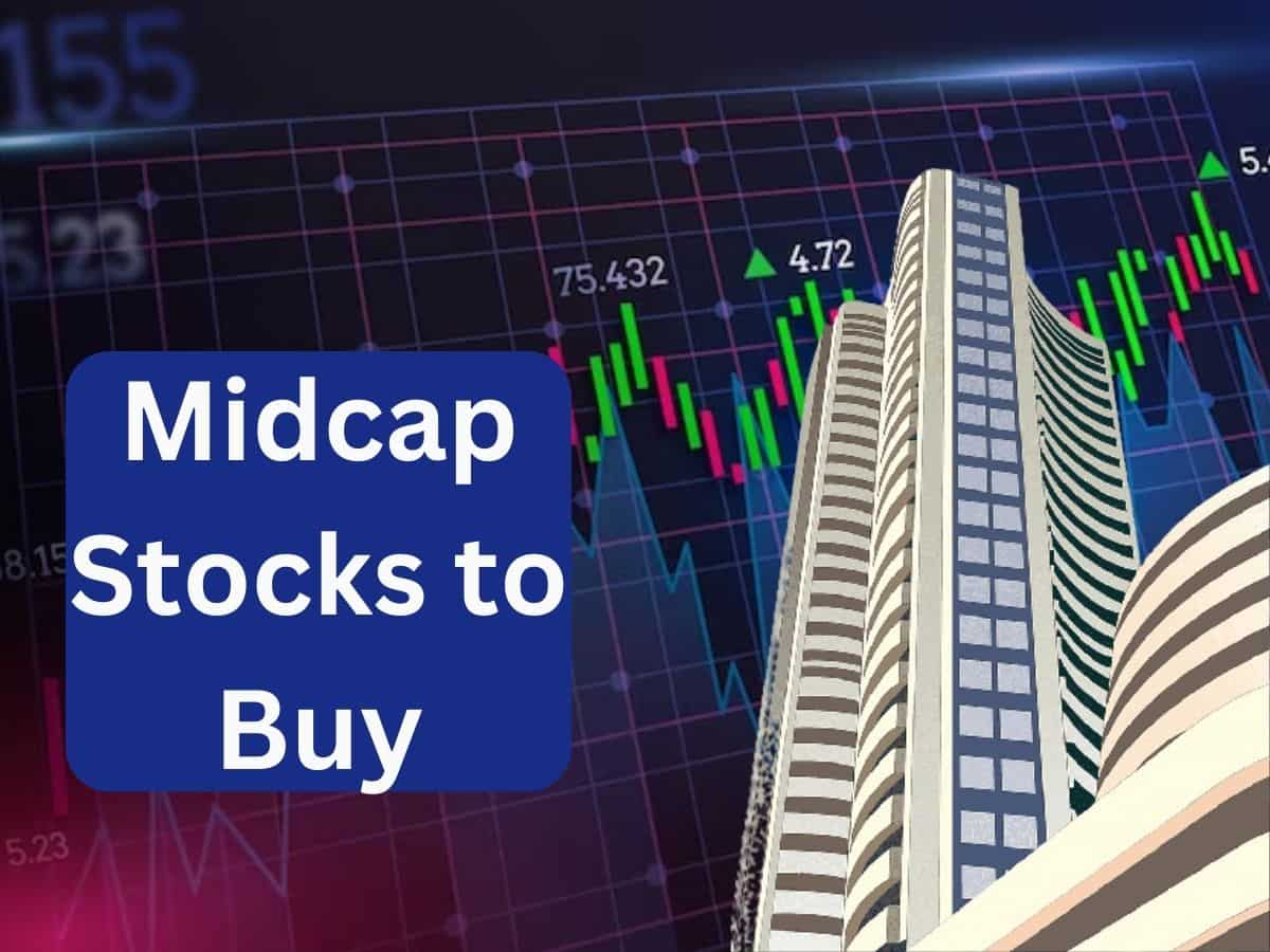 फेस्टिव सीजन में Midcap Stocks से चमकाएं पोर्टफोलियो, एक्सपर्ट के पसंदीदा ये 3 शेयर देंगे दमदार रिटर्न