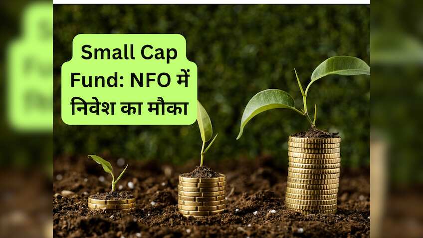 नया Small Cap Fund लॉन्‍ग टर्म में बनाएगा वेल्‍थ; ₹500 की SIP से कर सकते हैं निवेश, जानिए डीटेल