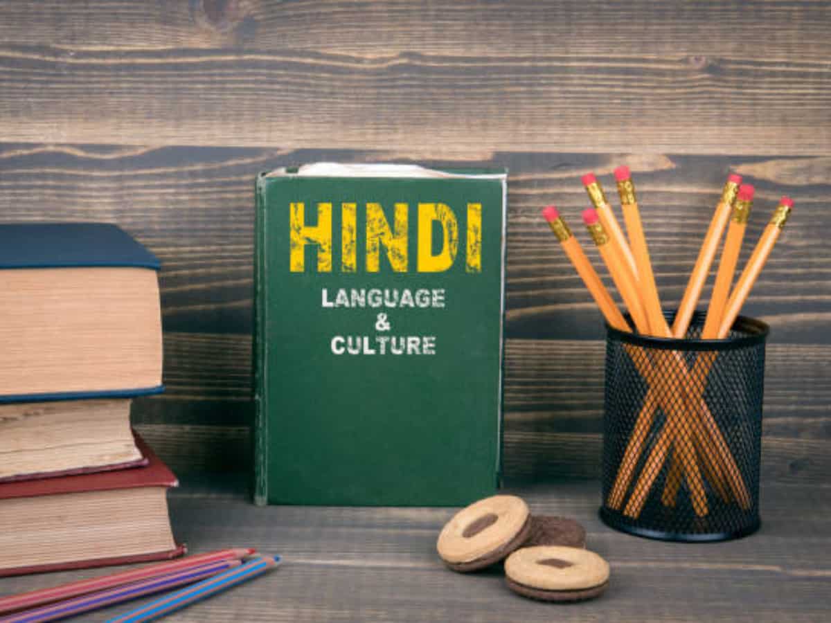 Career Tips: हिंदी भाषा पर अच्छी पकड़ है तो इन 5 फील्ड में बना सकते हैं शानदार करियर