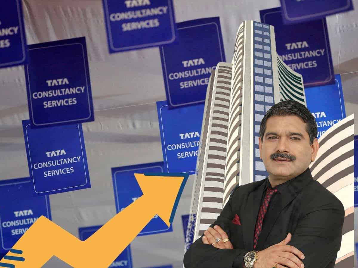 मार्केट गुरु Anil Singhvi का TCS के नतीजों पर सटीक एनालिसिस, स्टॉक पर निवेशकों को दी ये राय 