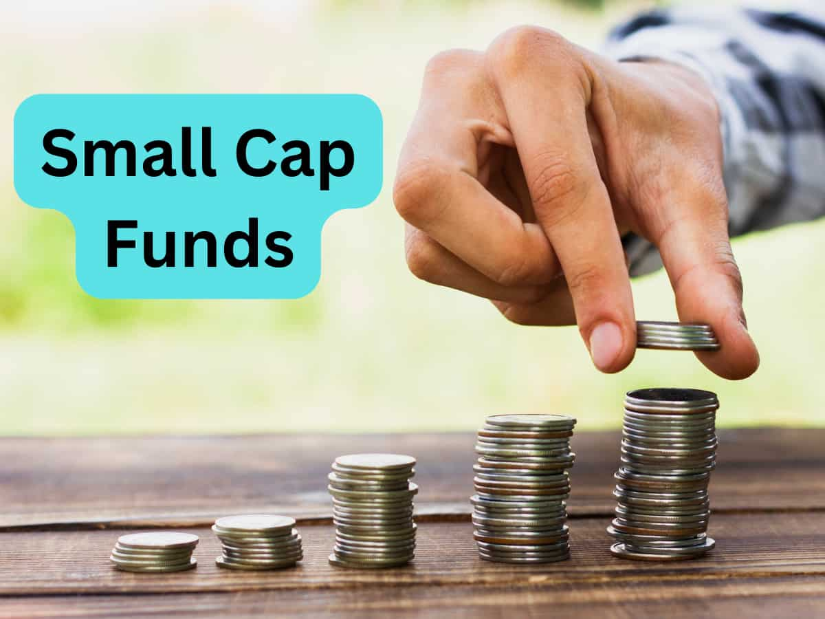 Small Cap Funds पर भरोसा बरकरार; एक्‍सपर्ट से समझें कैसे चुनें स्‍मॉल कैप फंड, निवेश के लिए क्‍यों है अच्‍छा समय? 