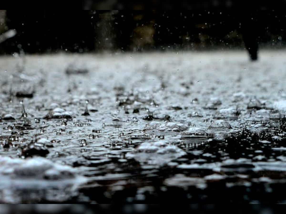 Kerala Rain: केरल में भारी बारिश से मची तबाही, जारी हुआ येलो अलर्ट, इन 9 जिलों का है बुरा हाल