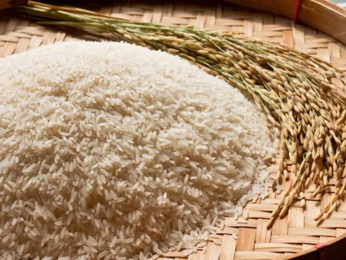 Rice Export: Usana Rice पर फिक्स्ड 80 डॉलर/टन का Export Duty लगाए सरकार, एक्सपोर्टर्स की मांग