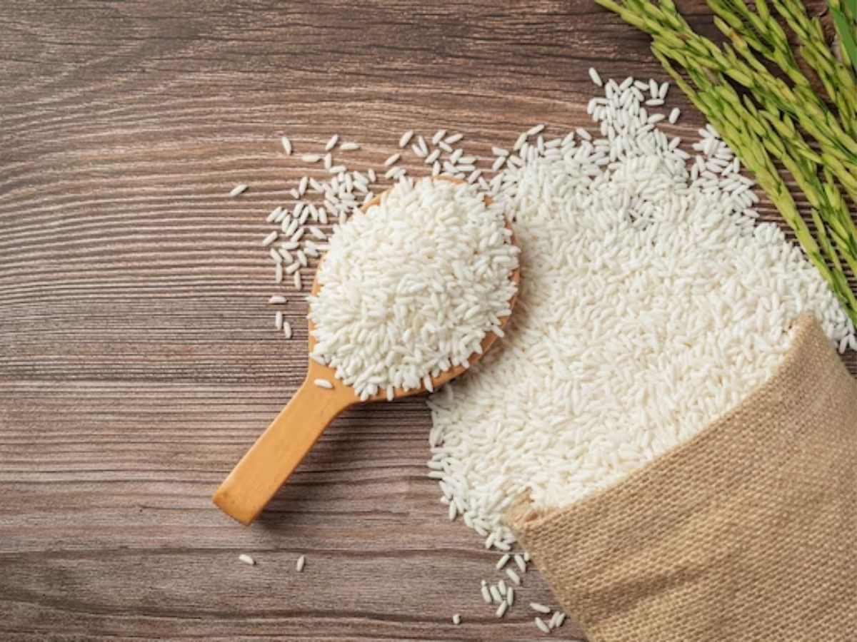 Basmati Export MEP: बासमती चावल एक्सपोर्ट पर रिवाइज MEP जल्द, सरकार के साथ बैठक रही सकारात्मक