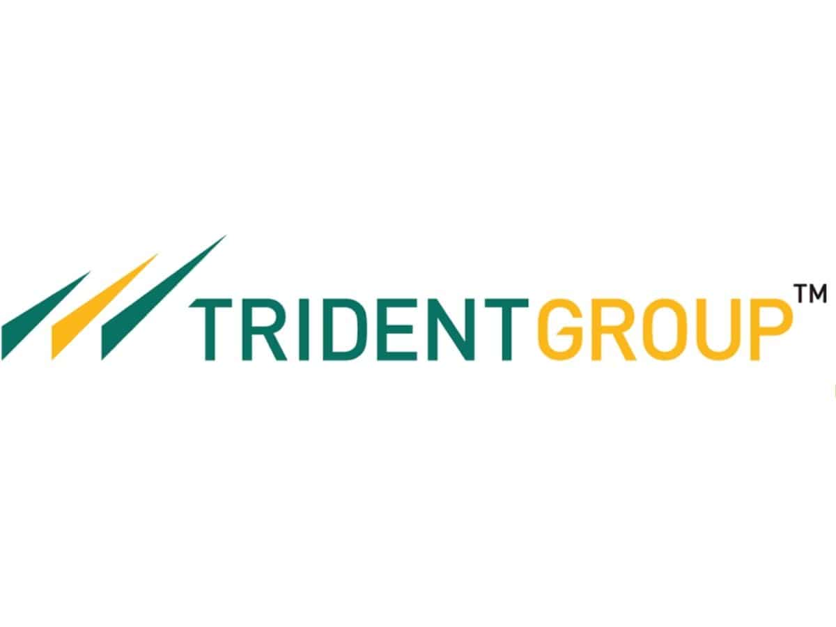 बड़ी टेक्सटाइल कंपनी Trident Group पर इनकम टैक्स डिपार्टमेंट ने मारे छापे, शेयरों में गिरावट