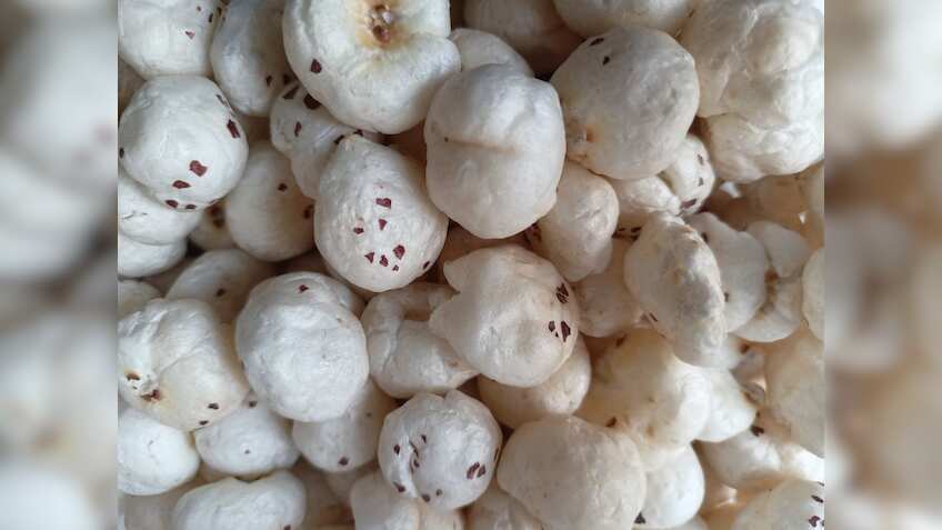 Makhana Vikas Yojana: मखाने की खेती और स्टोरेज हाउस पर मिलेगी 75% तक सब्सिडी, आवेदन शुरू, जानिए जरूरी बातें