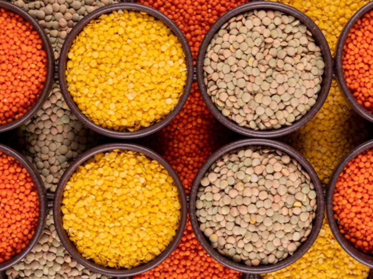 Farmers News: किसानों को बड़ा तोहफा, 80% अनुदान पर मिलेगा दलहन का बीज, होगी ताबड़तोड़ कमाई